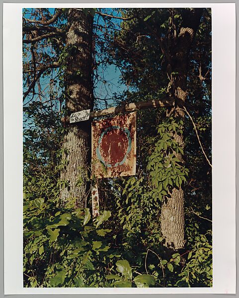 Untitled, William Eggleston (American, born Memphis, Tennessee, 1939), Dye transfer print 