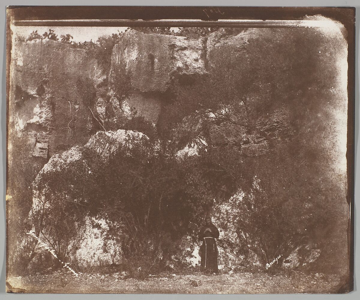 Garden of Selvia, Syracuse, Sicily, George Wilson Bridges (British, 1788–1864), Salted paper print from paper negative 