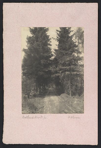 Redlands Woods, Frederick H. Evans (British, London 1853–1943 London), Platinum print 