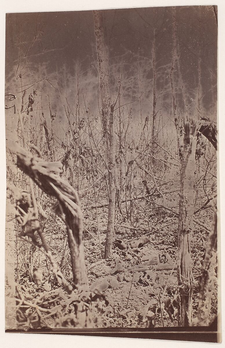 [The Wilderness Battlefield], Unknown (American), Albumen silver print from glass negative 