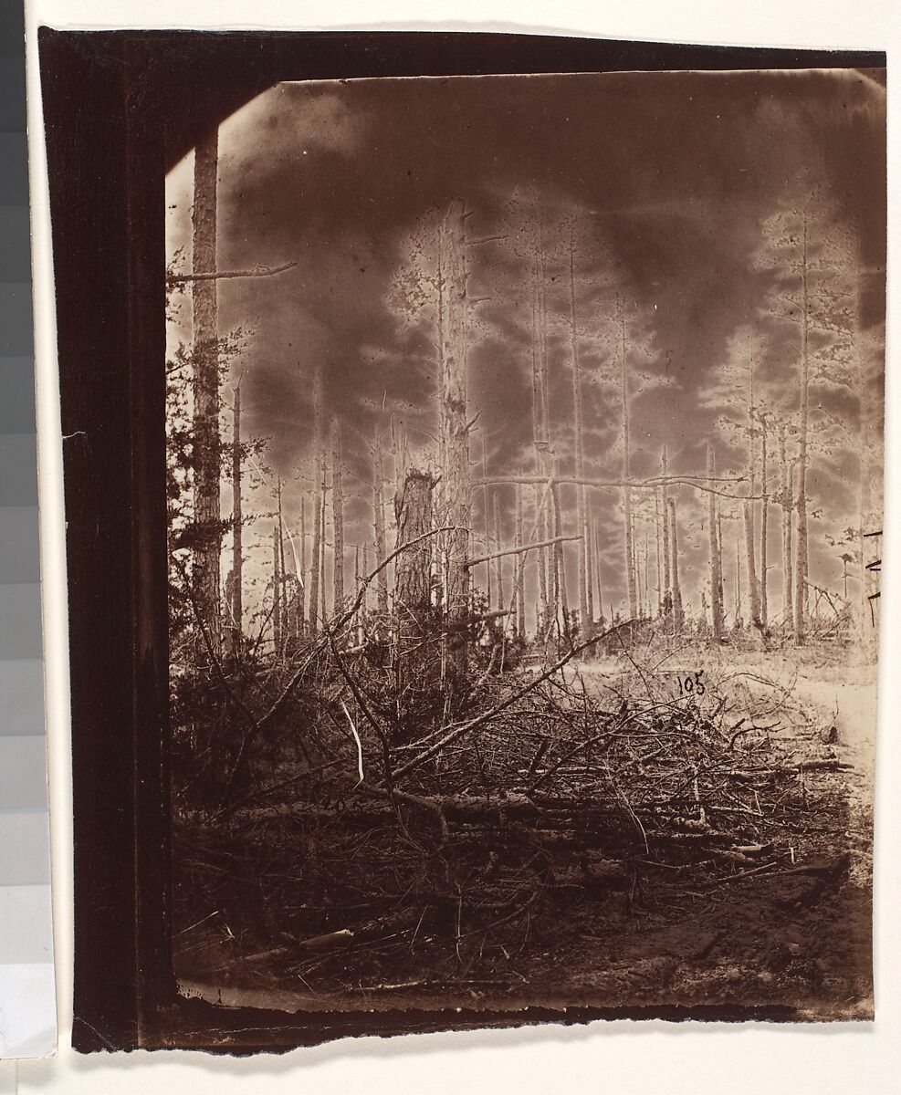 [The Wilderness Battlefield], G. O. Brown, Albumen silver print from glass negative