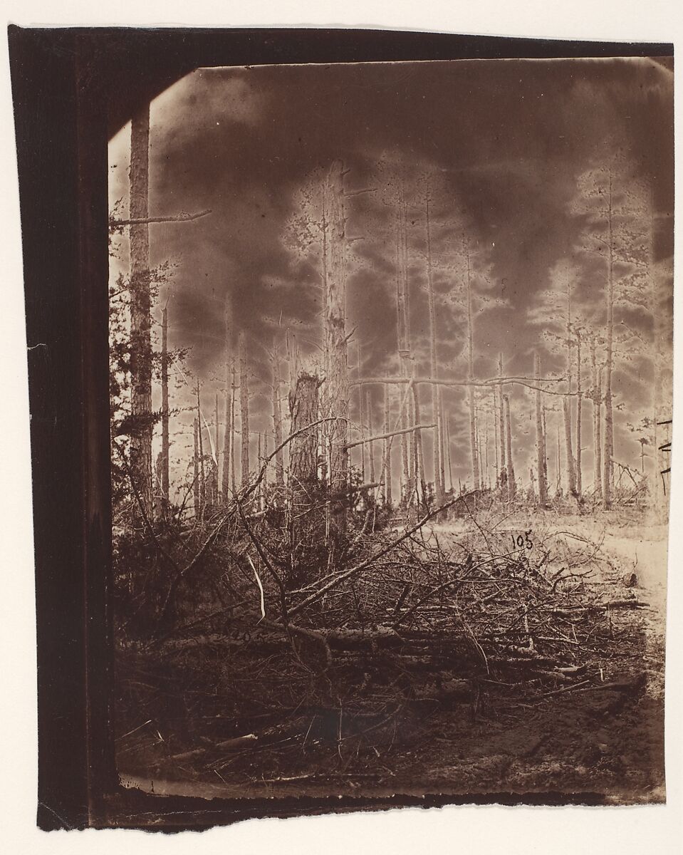 [The Wilderness Battlefield], Unknown (American), Albumen silver print from glass negative 