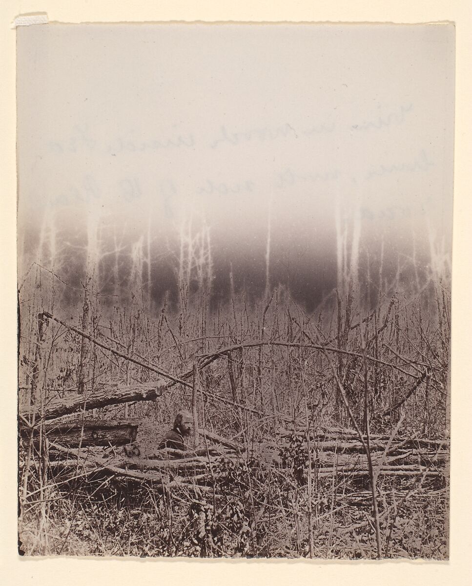 [The Wilderness Battlefield], Unknown (American), Albumen silver print from glass negative 