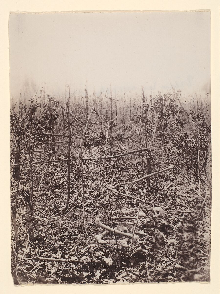 [The Wilderness Battlefield], Unknown (American), Albumen silver print from glass negative 