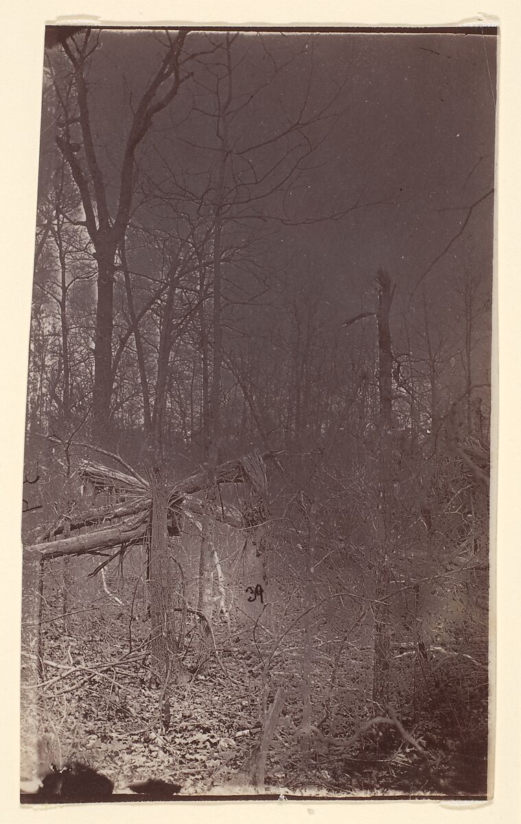 [The Wilderness Battlefield], Unknown (American), Albumen silver print from glass negative 