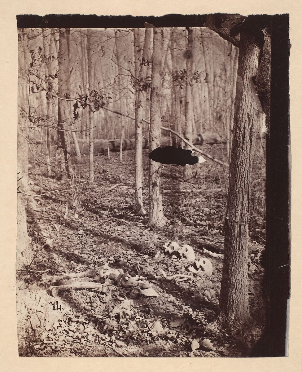 [The Wilderness Battlefield], Unknown (American), Albumen silver print from glass negative 