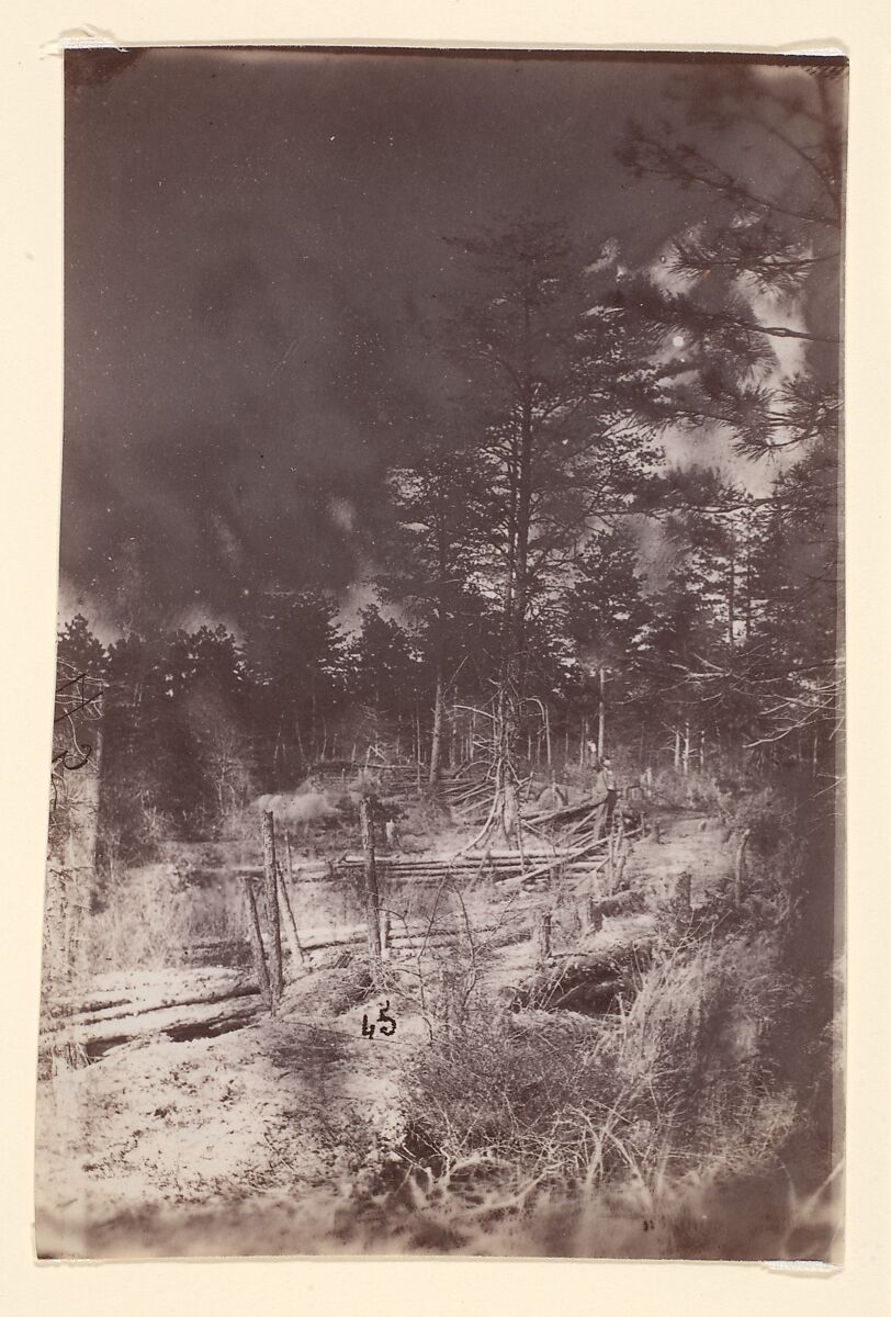 [The Wilderness Battlefield], Unknown (American), Albumen silver print from glass negative 