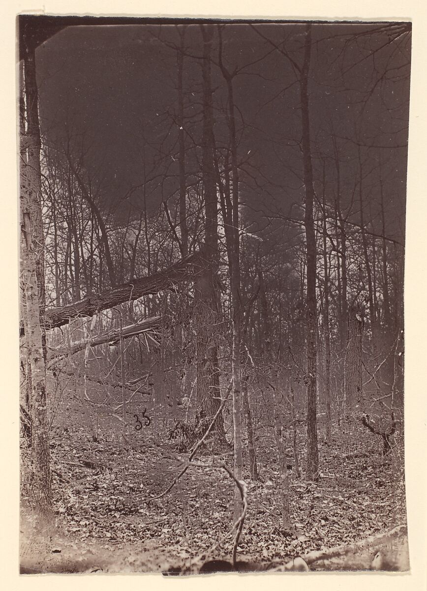 [The Wilderness Battlefield], Unknown (American), Albumen silver print from glass negative 