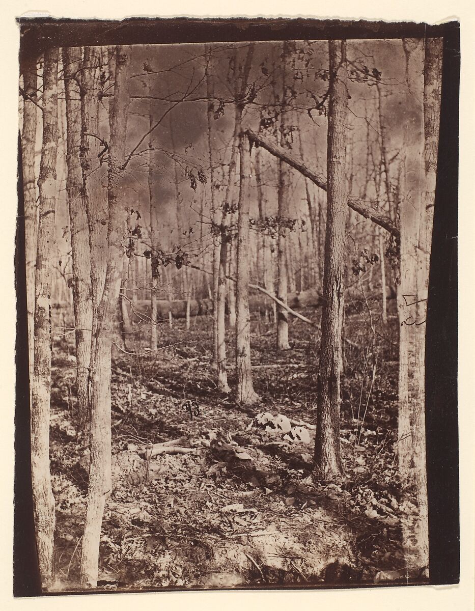 [The Wilderness Battlefield], Unknown (American), Albumen silver print from glass negative 