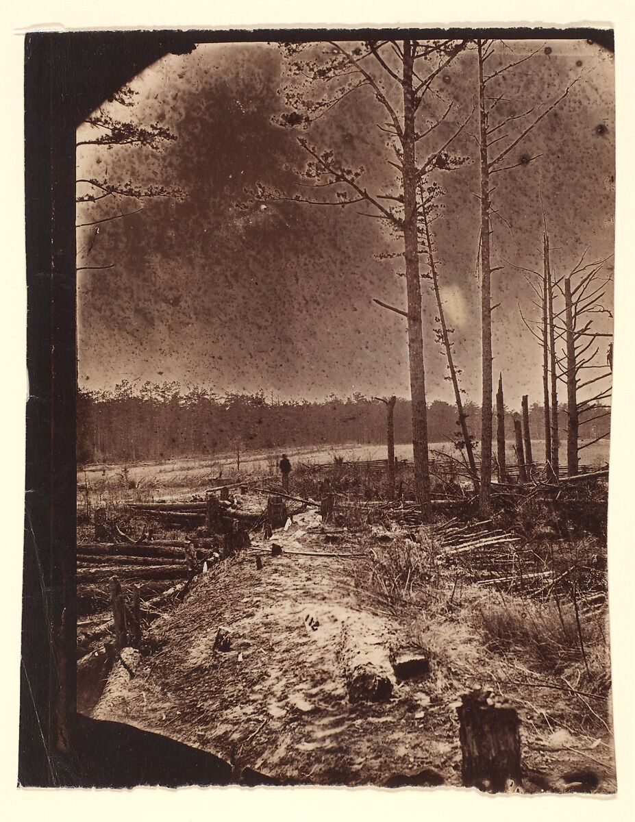 [The Wilderness Battlefield], Unknown (American), Albumen silver print from glass negative 