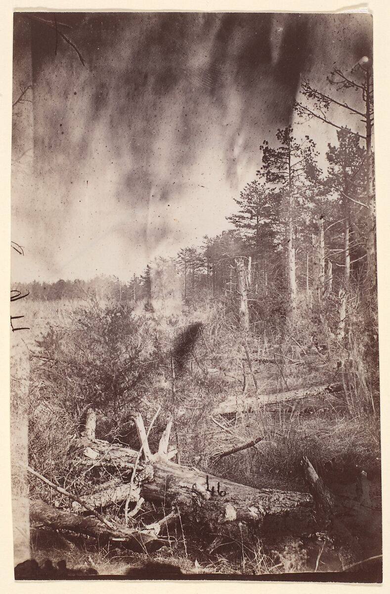 [The Wilderness Battlefield], Unknown (American), Albumen silver print from glass negative 