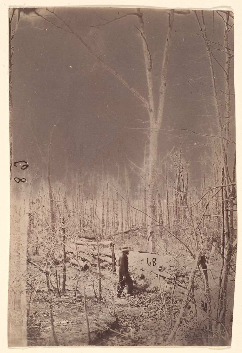 [The Wilderness Battlefield], Unknown (American), Albumen silver print from glass negative 