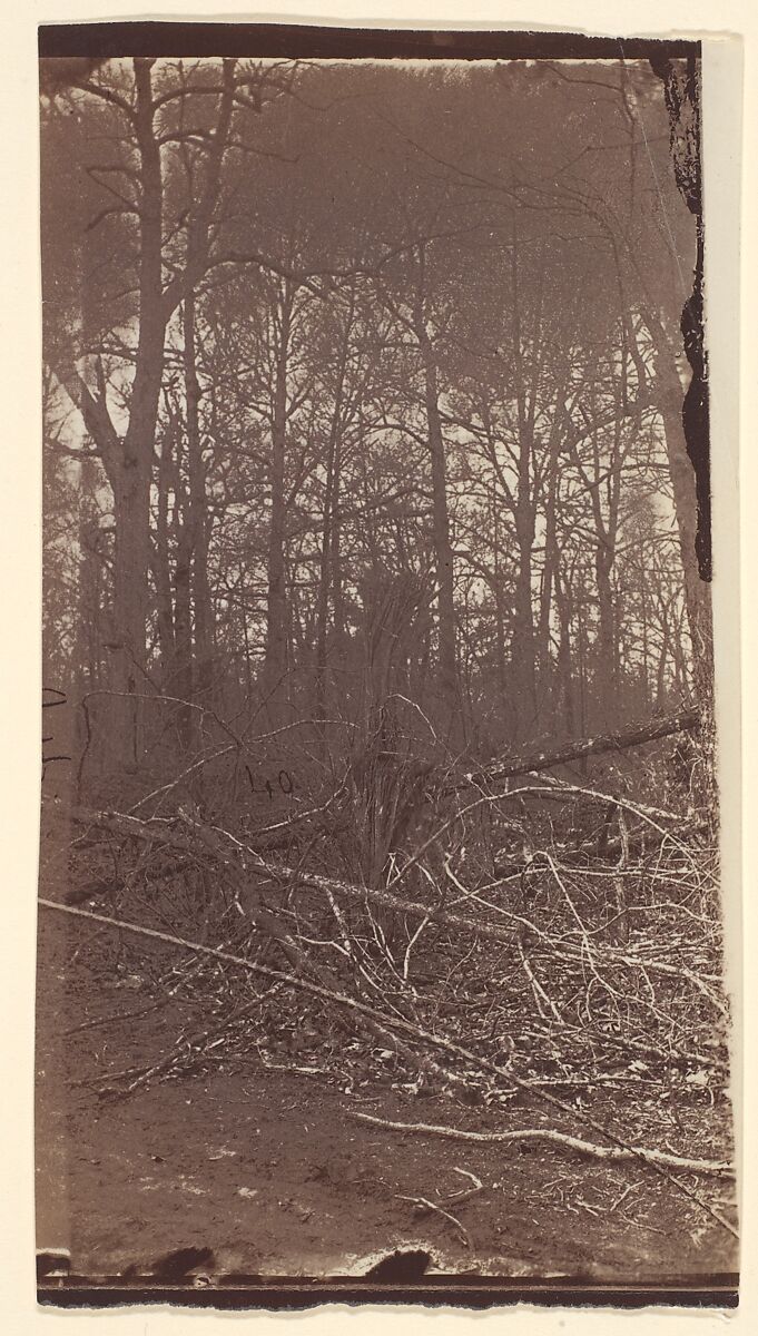 [The Wilderness Battlefield], Unknown (American), Albumen silver print from glass negative 