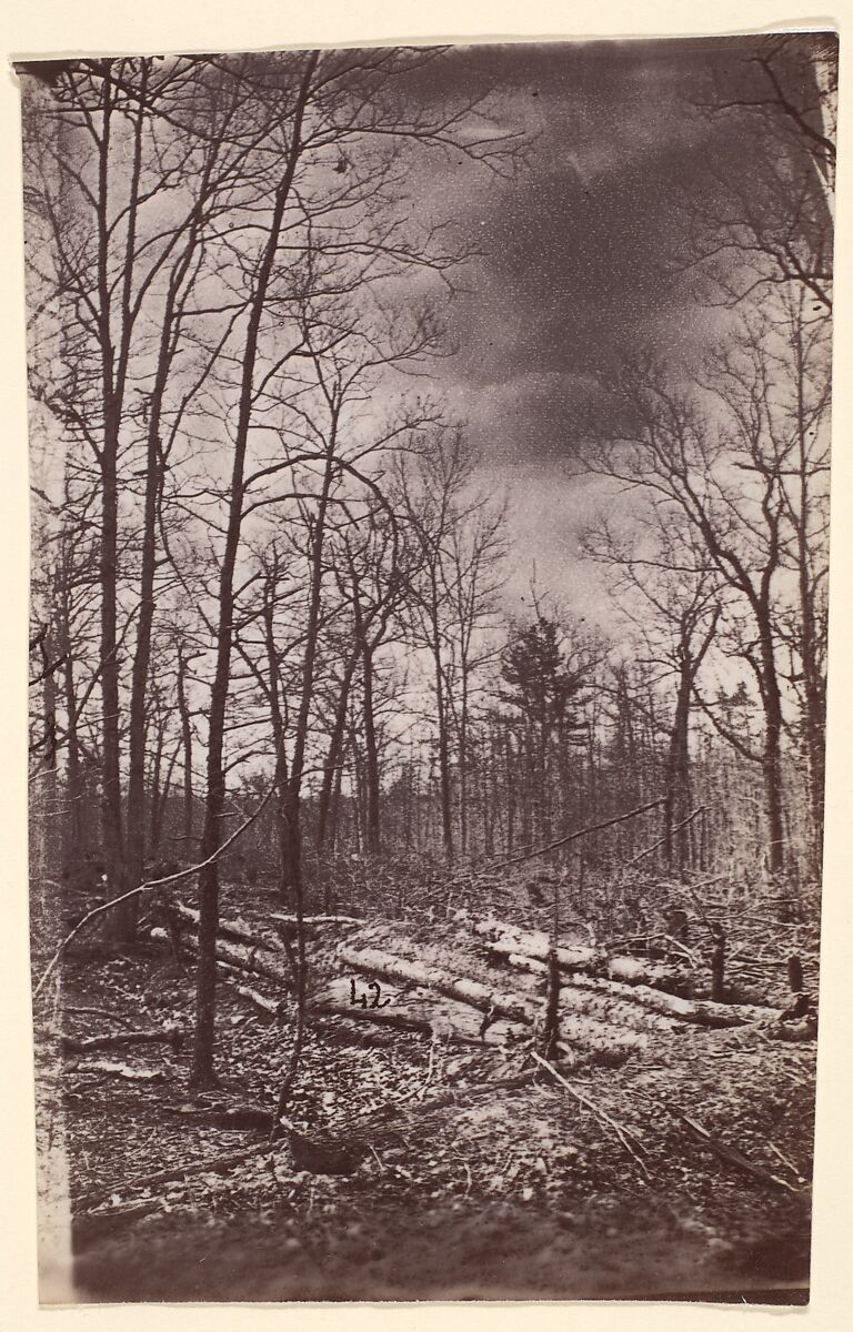 [The Wilderness Battlefield], Unknown (American), Albumen silver print from glass negative 