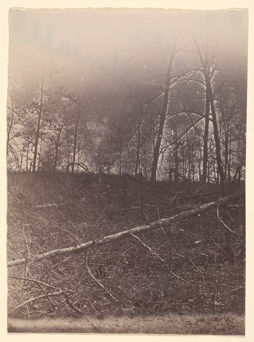 [The Wilderness Battlefield], Unknown (American), Albumen silver print from glass negative 