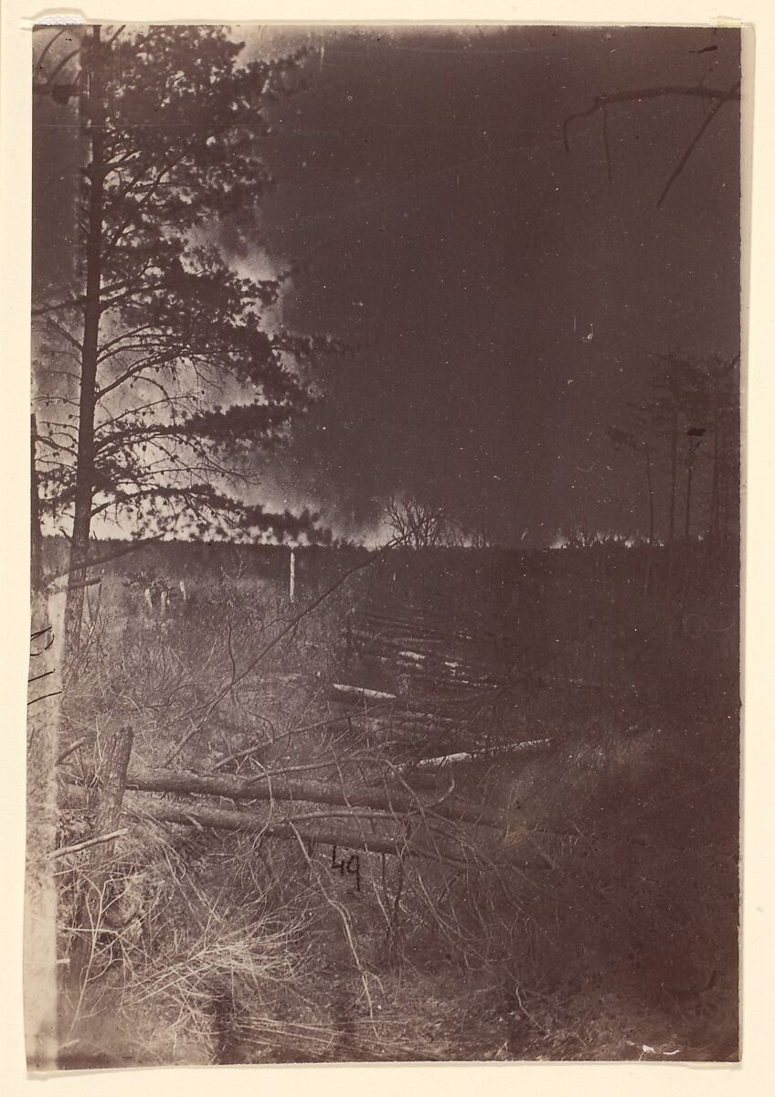 [The Wilderness Battlefield], Unknown (American), Albumen silver print from glass negative 