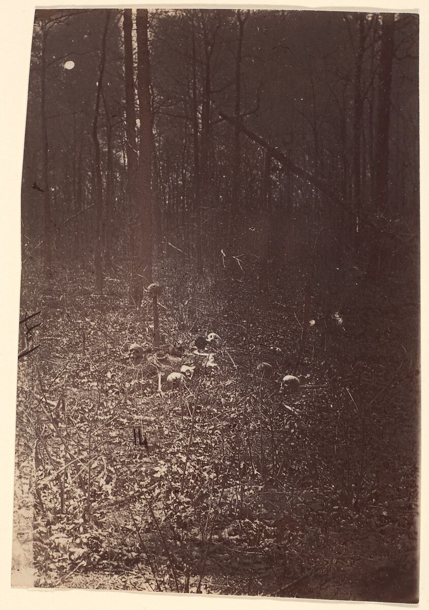[The Wilderness Battlefield, near Spotsylvania, Virginia], Unknown (American), Albumen silver print from glass negative 