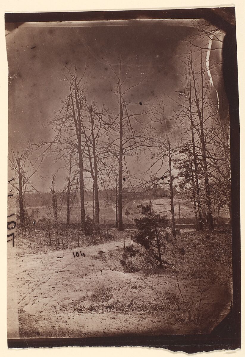 [The Wilderness Battlefield], Unknown (American), Albumen silver print from glass negative 