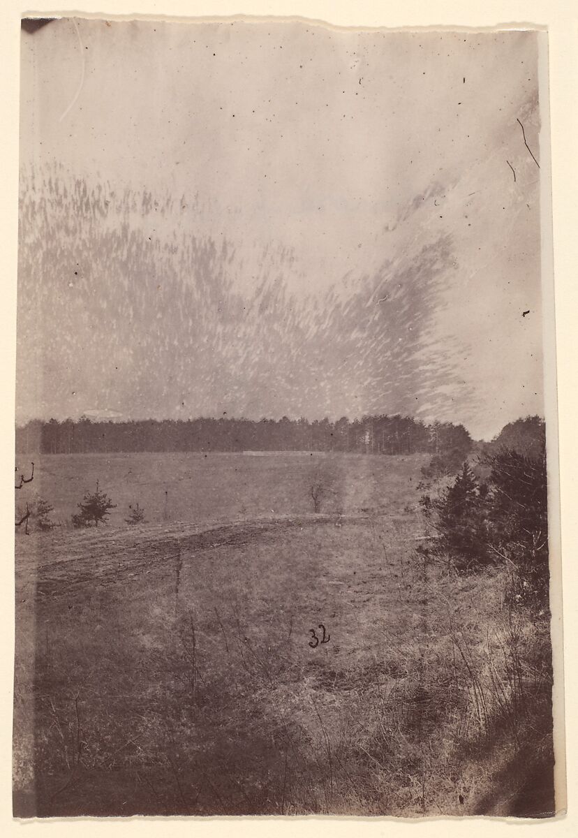 [The Wilderness Battlefield], Unknown (American), Albumen silver print from glass negative 