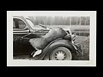 [243 Amateur Snapshots], Unknown, Gelatin silver prints, Instant diffusion transfer prints, and chromogenic prints