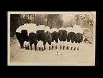 [243 Amateur Snapshots], Unknown, Gelatin silver prints, Instant diffusion transfer prints, and chromogenic prints