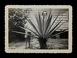 [243 Amateur Snapshots], Unknown, Gelatin silver prints, Instant diffusion transfer prints, and chromogenic prints