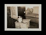 [243 Amateur Snapshots], Unknown, Gelatin silver prints, Instant diffusion transfer prints, and chromogenic prints