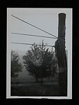 [243 Amateur Snapshots], Unknown, Gelatin silver prints, Instant diffusion transfer prints, and chromogenic prints
