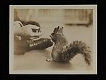 [243 Amateur Snapshots], Unknown, Gelatin silver prints, Instant diffusion transfer prints, and chromogenic prints