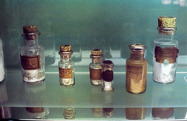 [Pasteur Museum, Paris]