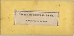 [Concert at Bandstand on Mall, Central Park, New York], Unknown, Albumen silver print