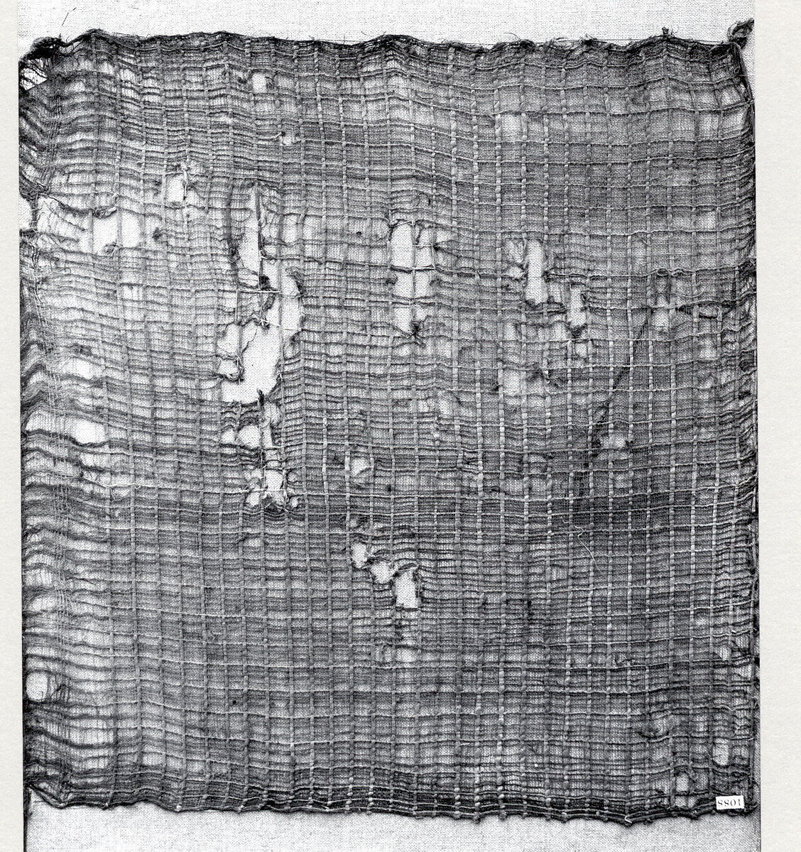 Gauze Panel, Cotton gauze, Peru; central coast (?) 