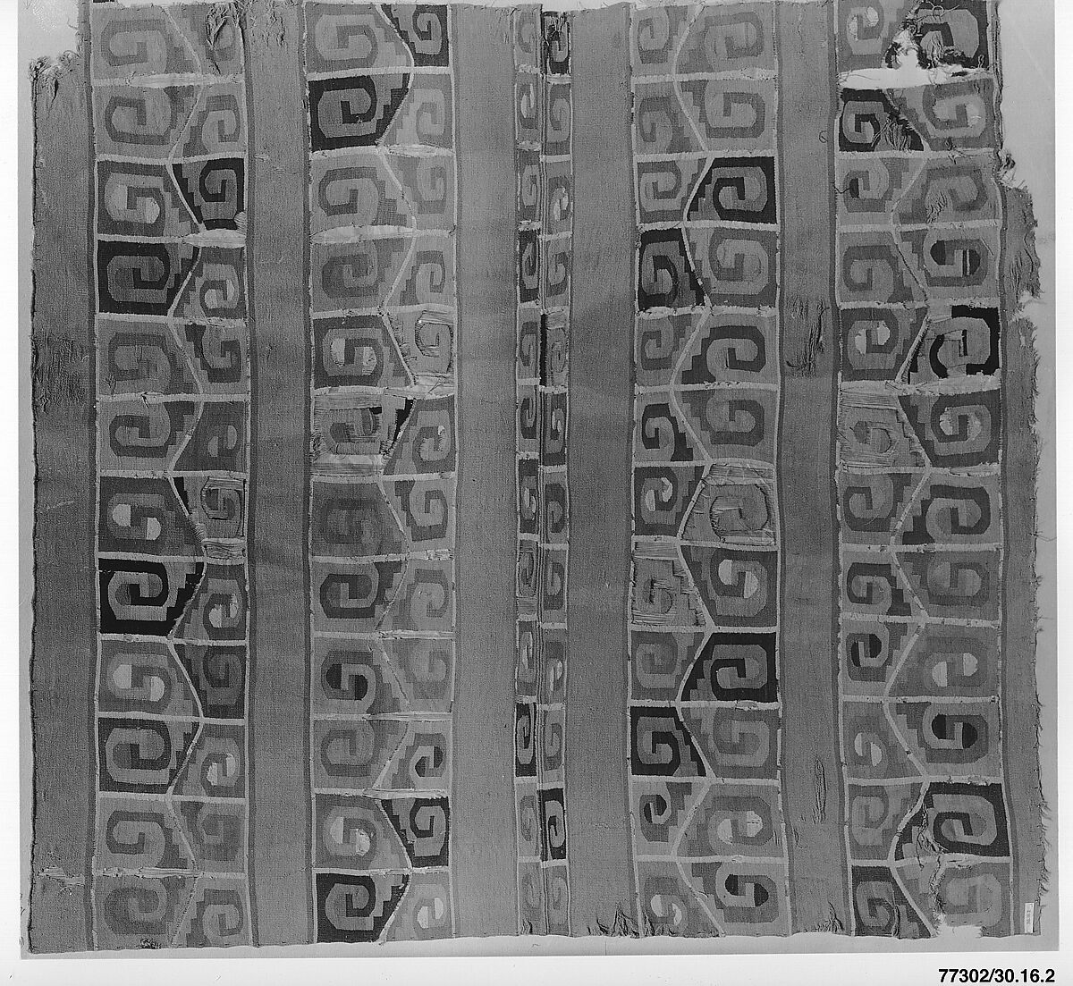 Tunic Fragment, Cotton, camelid hair, Wari