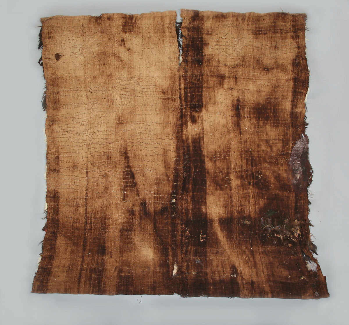 Feathered Tunic, Cotton, feathers, Chimú