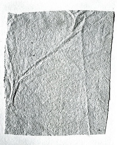 Barkcloth Fragment (Kapa)