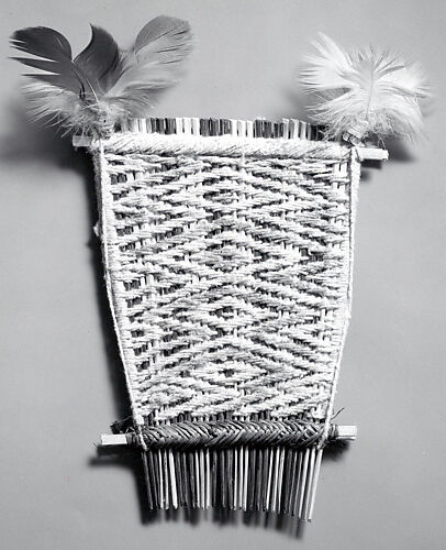 Comb with Feathers