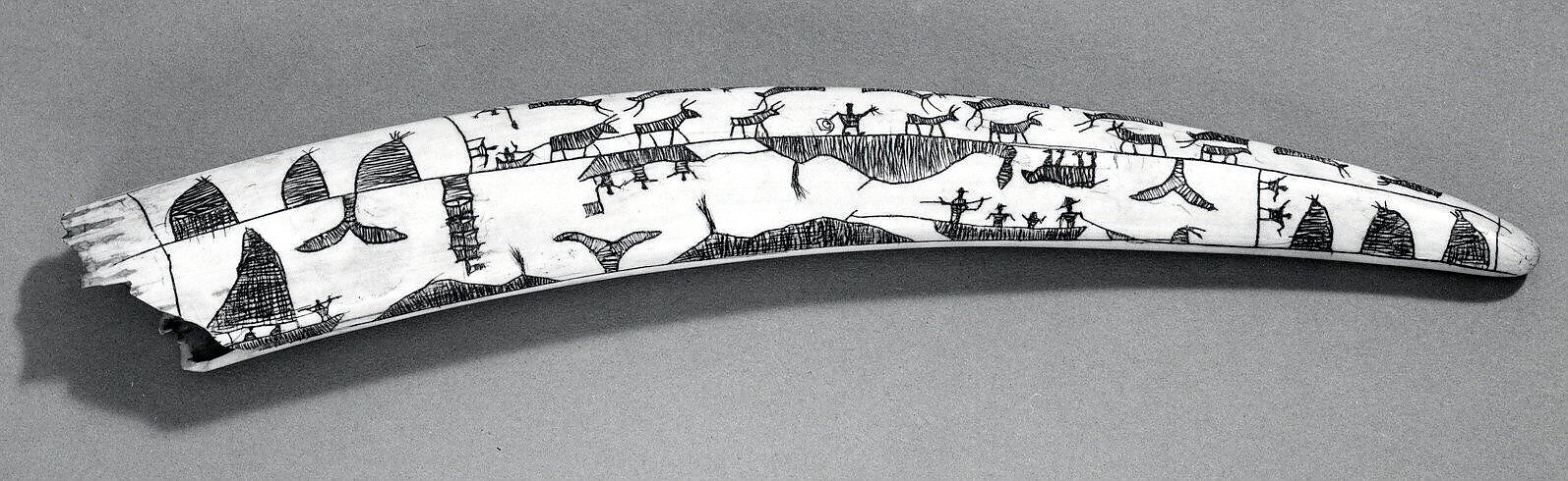 Engraved Ivory Tusk