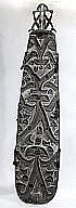 Shield