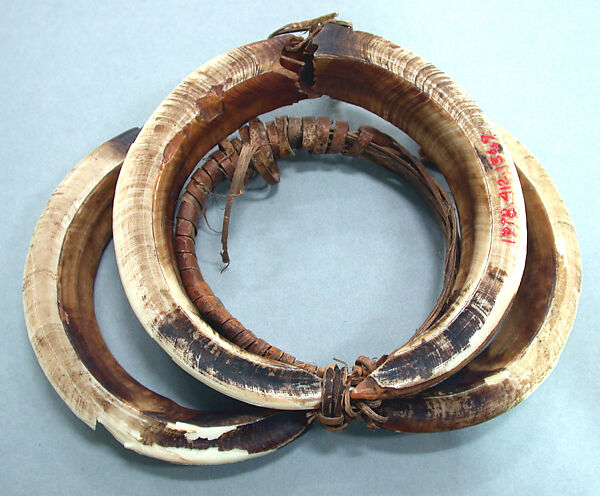 Arm Band, Pig tusks, fiber, Asmat people