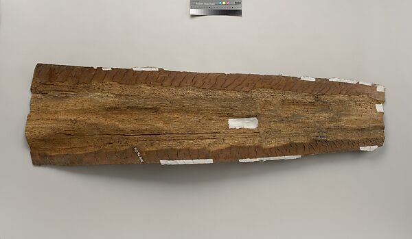 Painting from a Ceremonial House Ceiling, Yuanei, Abgwala Kalaba, Sago palm spathe, paint, Kwoma, Abgwala Kalaba clan