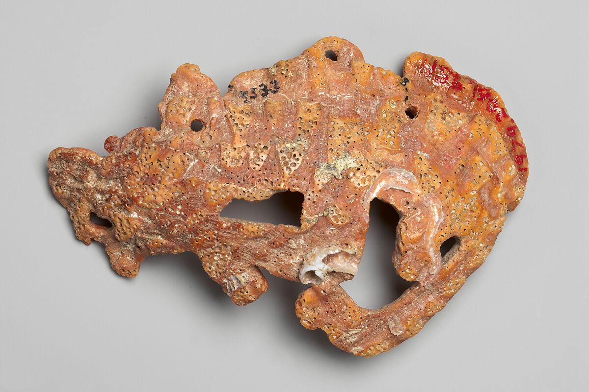Ornament in the shape of a mammal, Maya artist(s), Spondylus shell, Maya