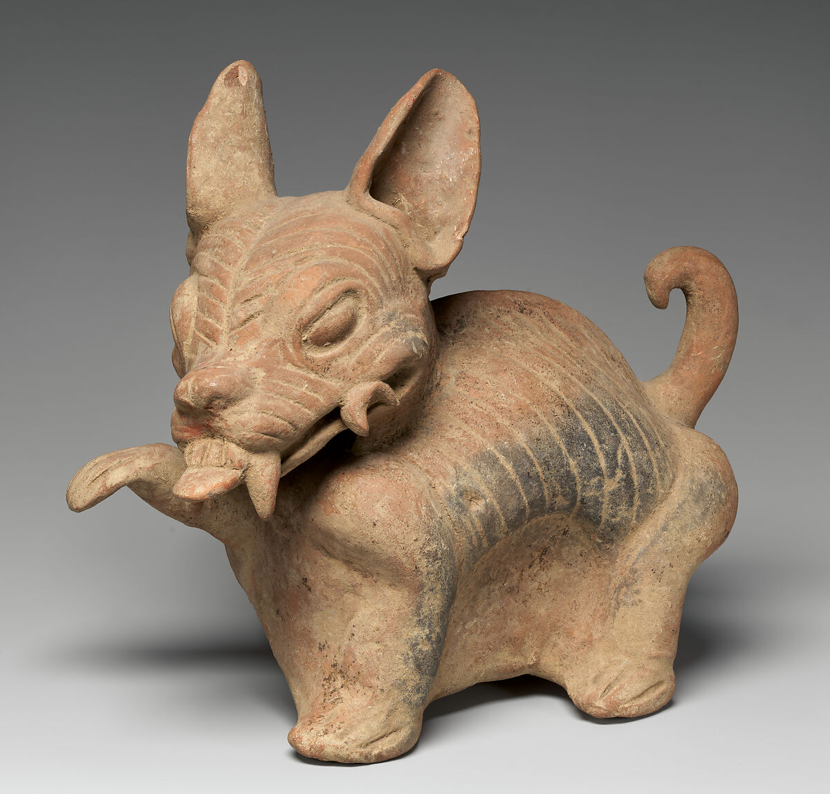 Canine vessel, South central Veracruz artist(s), Ceramic, Classic Veracruz