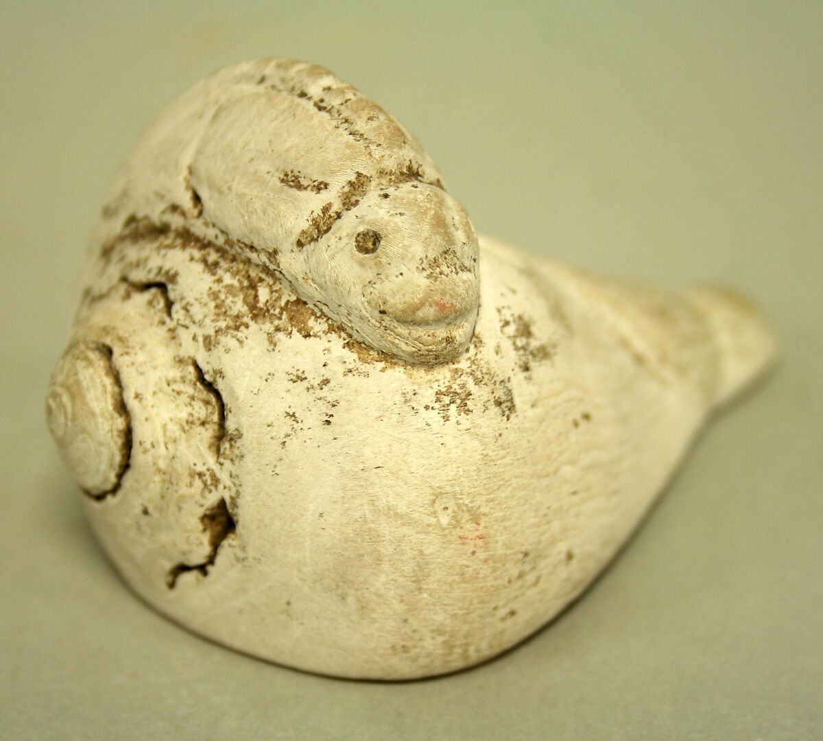 Shell Lime Container in the Shape of a Lizard, Shell, Chorrera or Bahia 