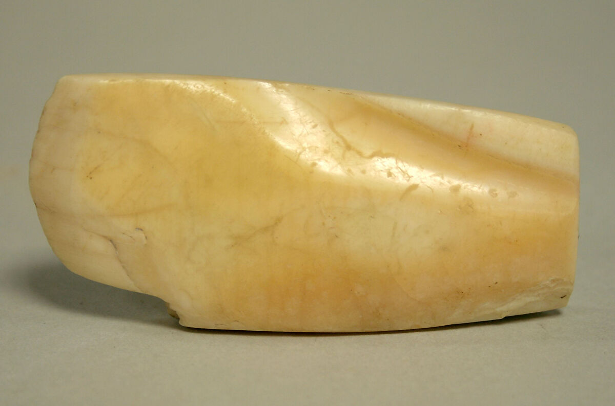 Scraper, Shell, Valdivia