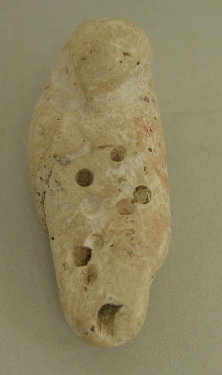 Figure (?), Shell, Valdivia 