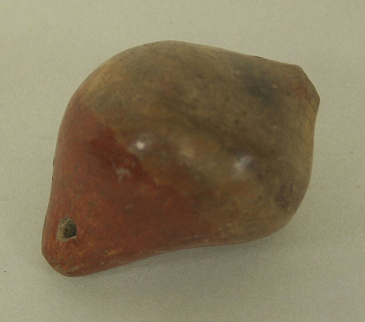 Ceramic Whistle in the Form of a Shell, Ceramic, Ecuadorian 