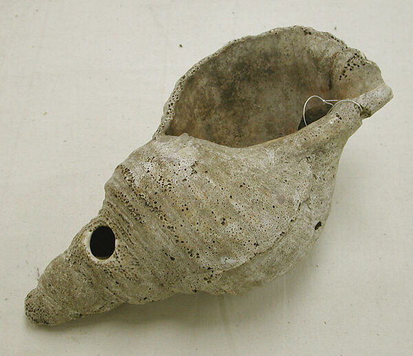 Trumpet  (Tutue [?]), Shell, Papua New Guinea 