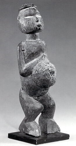 Figure: Pregnant Female