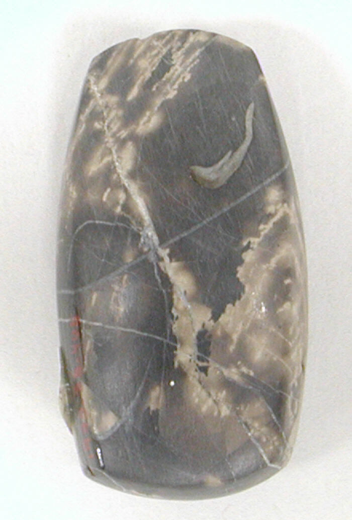 Stone Chisel, Stone, United States (?) 