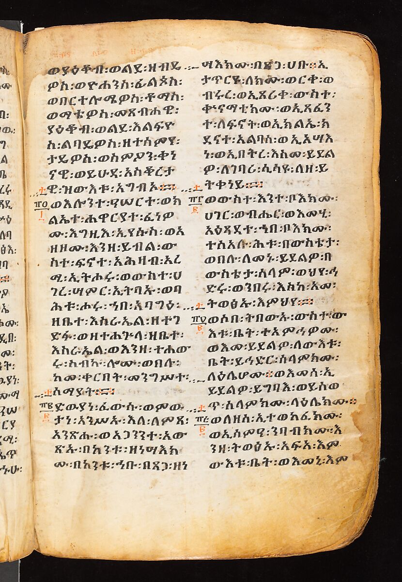 Book of the Gospels, Northern Highlands artist, Parchment (vellum), acacia wood, tempera, ink